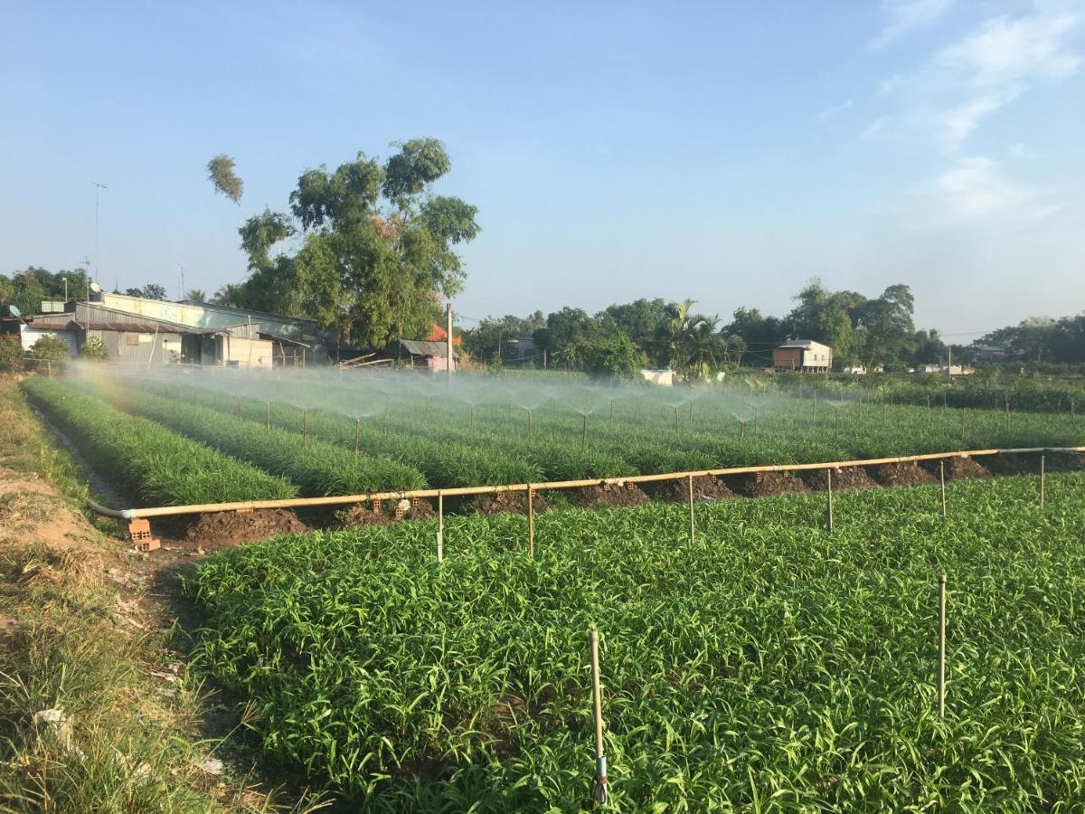 Chau Doc Homestay エクステリア 写真